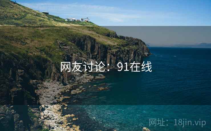 网友讨论：91在线