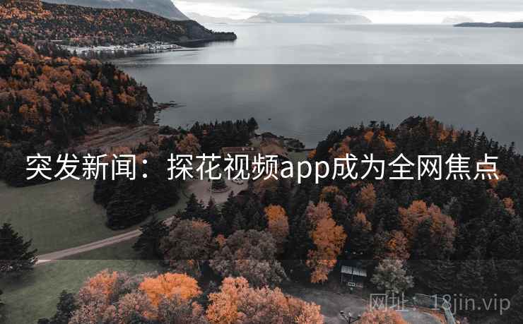 突发新闻：探花视频app成为全网焦点  第2张