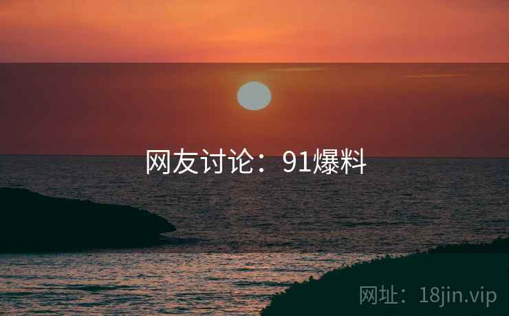 网友讨论：91爆料