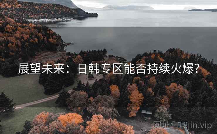 展望未来：日韩专区能否持续火爆？
