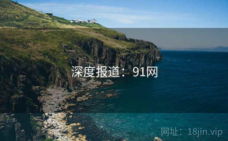 深度报道：91网