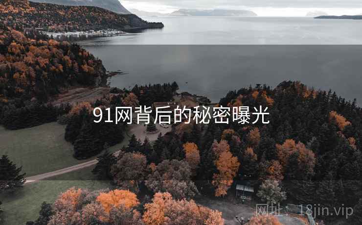 91网背后的秘密曝光