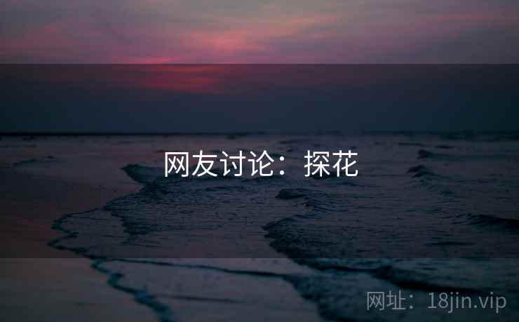 网友讨论：探花