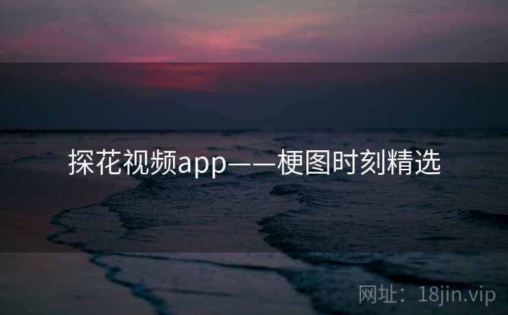探花视频app——梗图时刻精选
