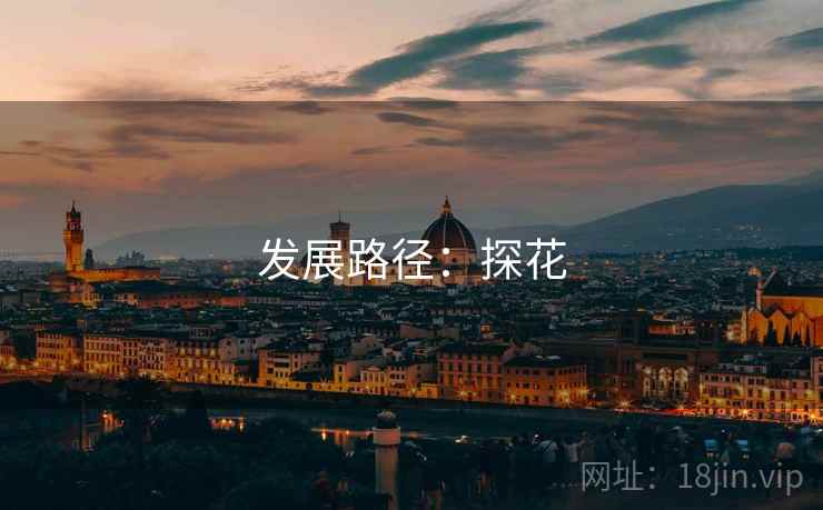 发展路径：探花